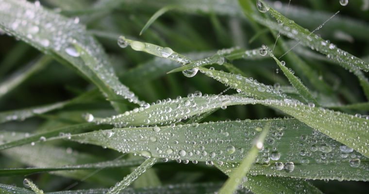 So schießt du coole Fotos im Regen