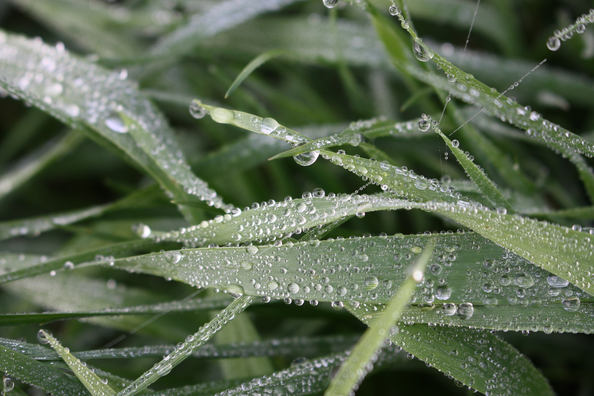 So schießt du coole Fotos im Regen